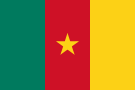 Flag Cameroon