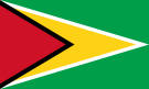 Flag Guyana